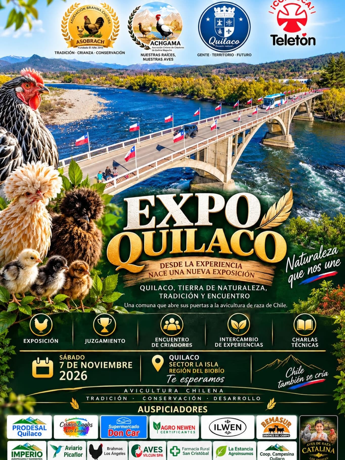 EXPO QUILACO 2026: Exposición y Juzgamiento de Aves de Raza en Quilaco