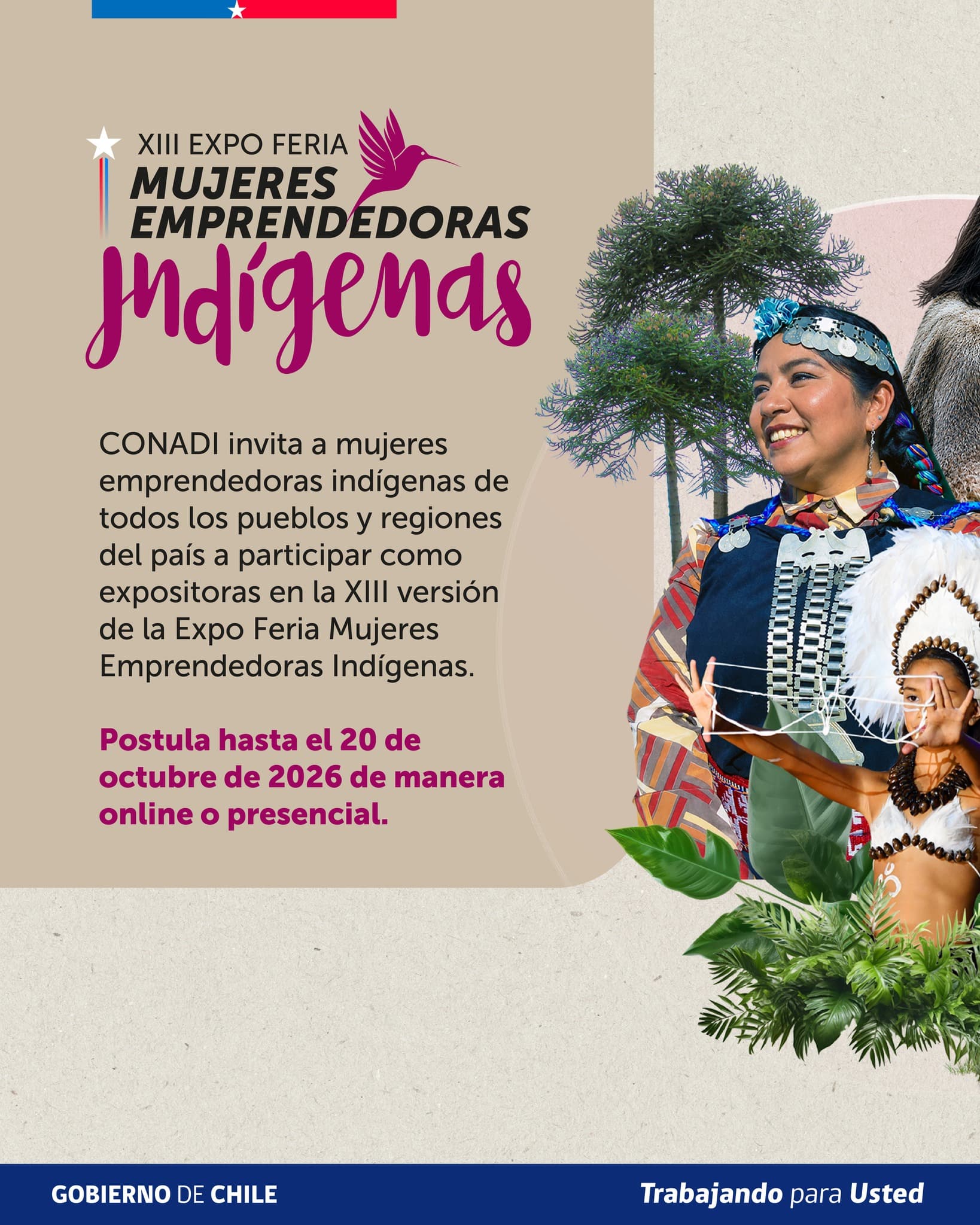 Postulaciones Abiertas: XIII Expo Feria Mujeres Emprendedoras Indígenas 2026