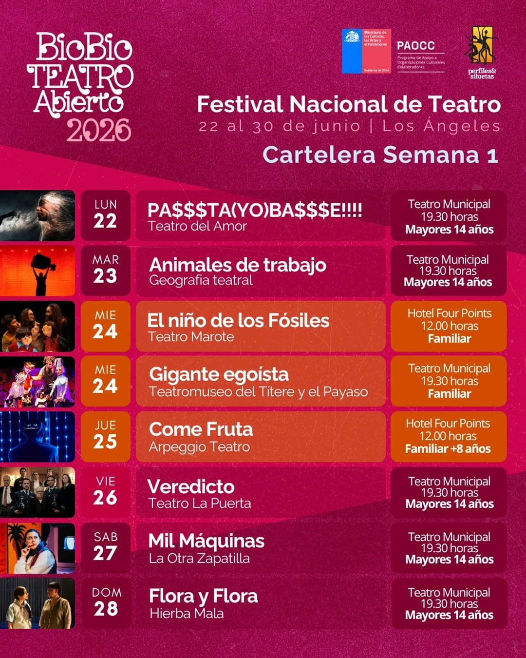 «El otro lado del medio Ambiente» cierra el Festival Biobío Teatro Abierto en Los Ángeles