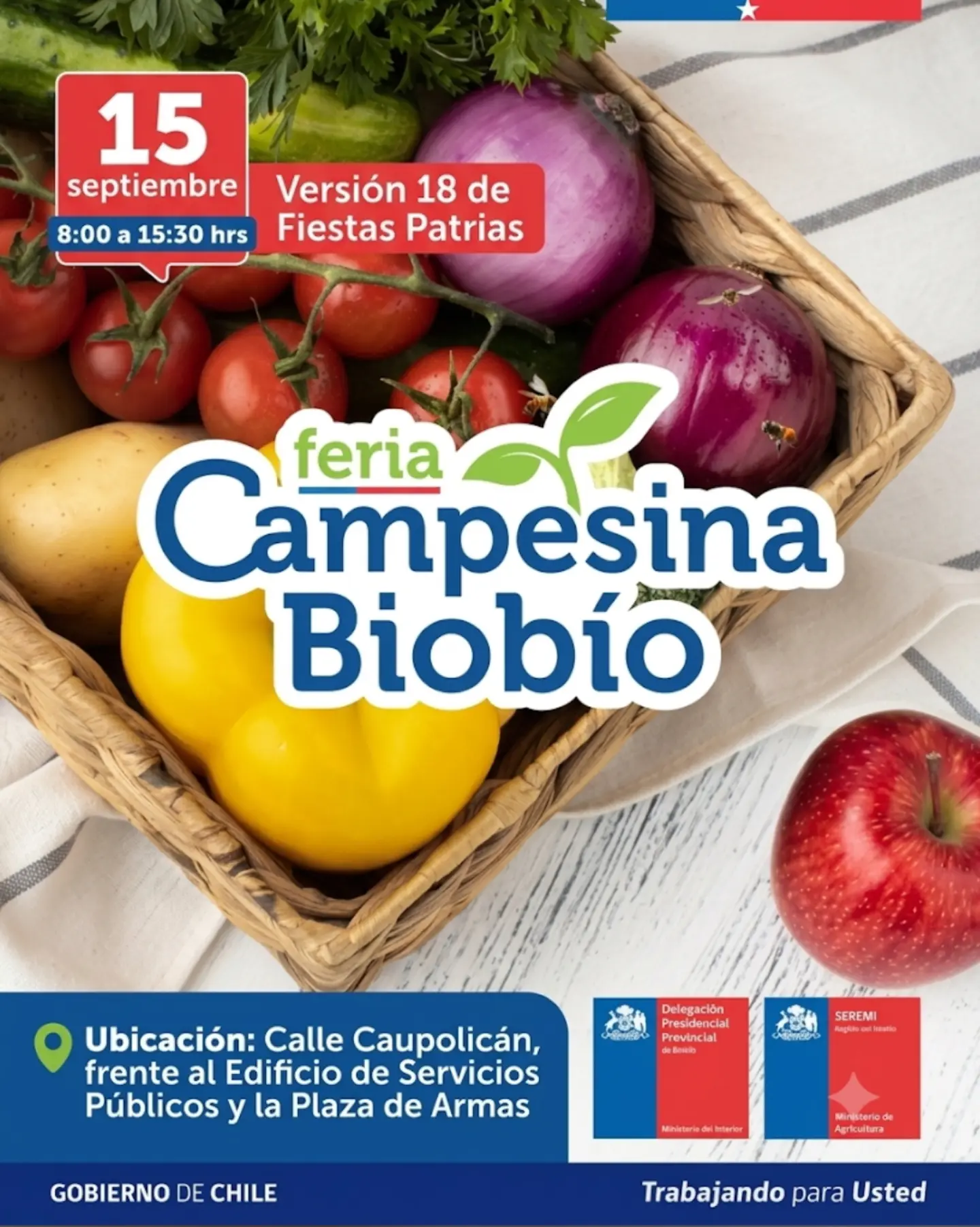 Feria Campesina Biobío – Edición Dieciocho de Fiestas Patrias en Los Ángeles