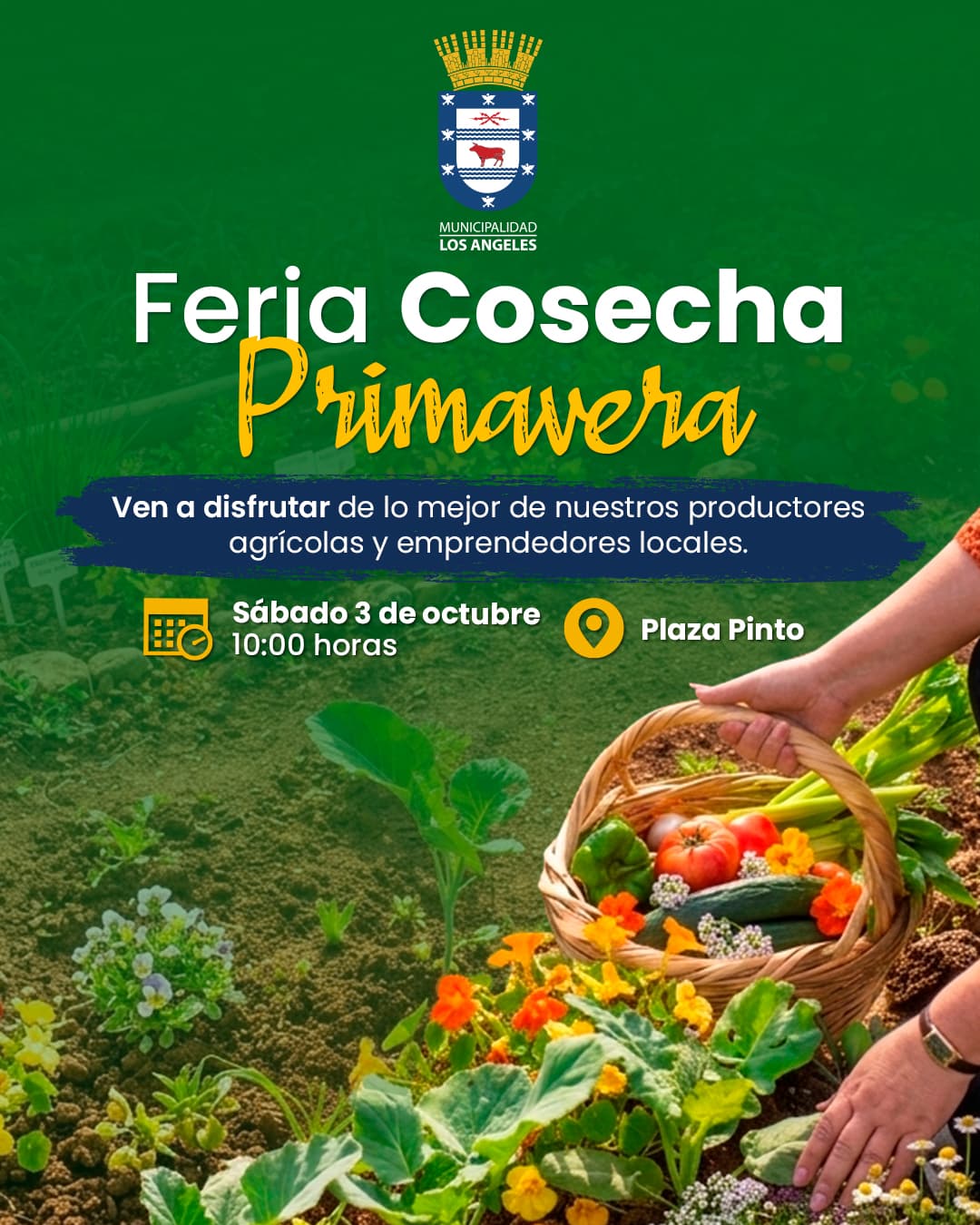 Feria Cosecha Primavera en Plaza Pinto: lo mejor de los productores locales