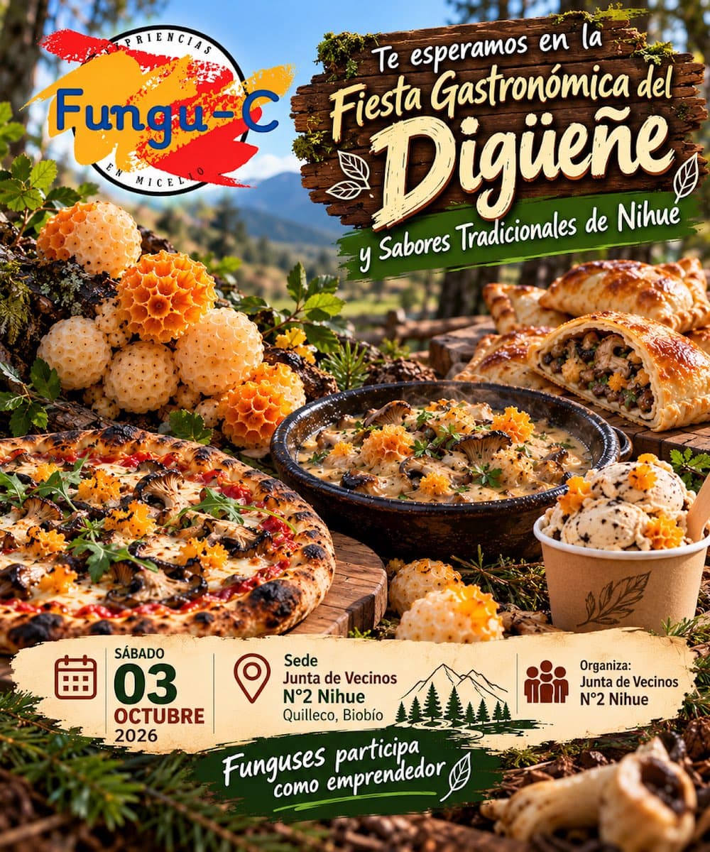 Fiesta Gastronómica del Digüeñe y Sabores Tradicionales de Nihue con Funguses
