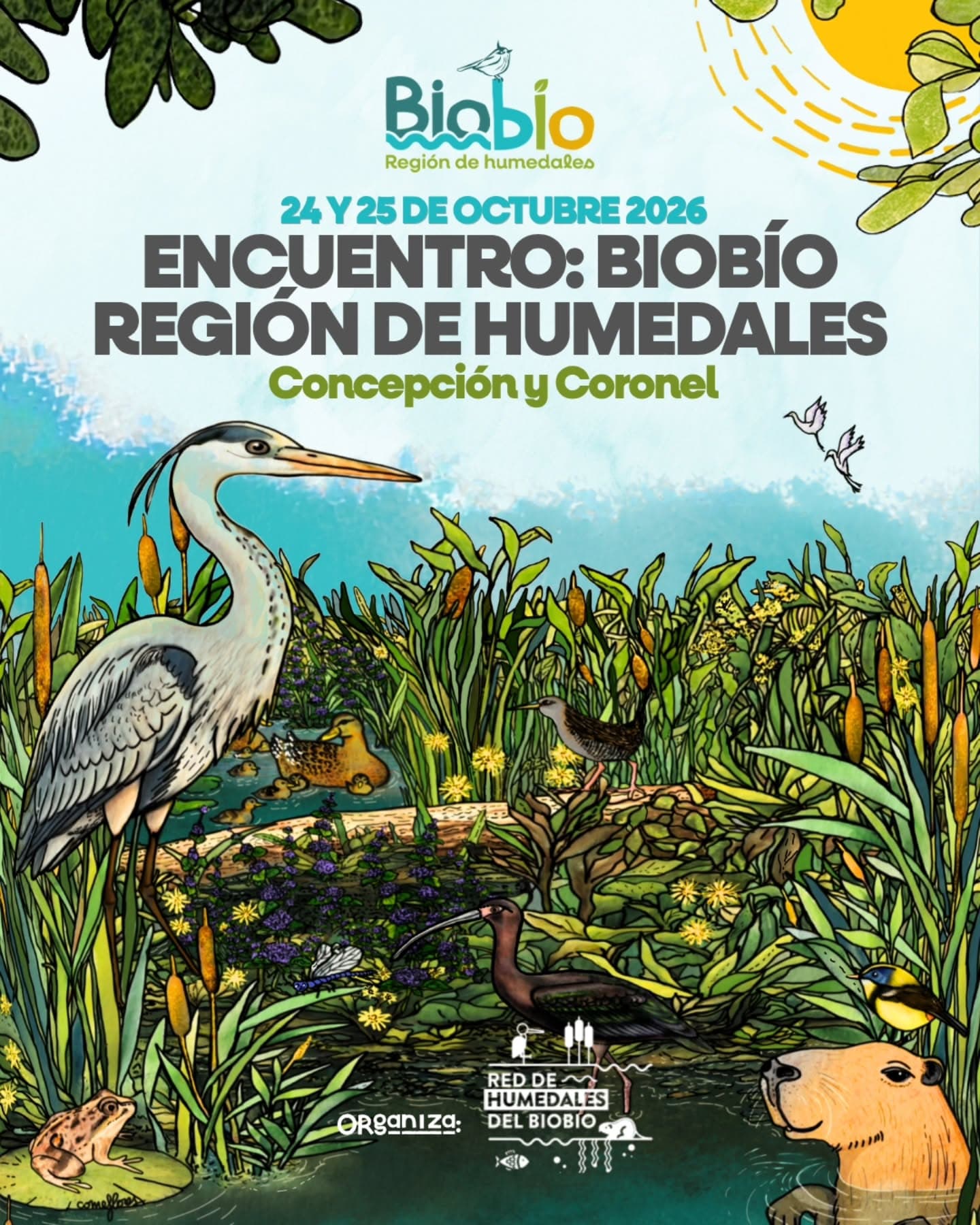 Primer Encuentro Regional de Humedales del Biobío: dos jornadas por la protección de estos ecosistemas