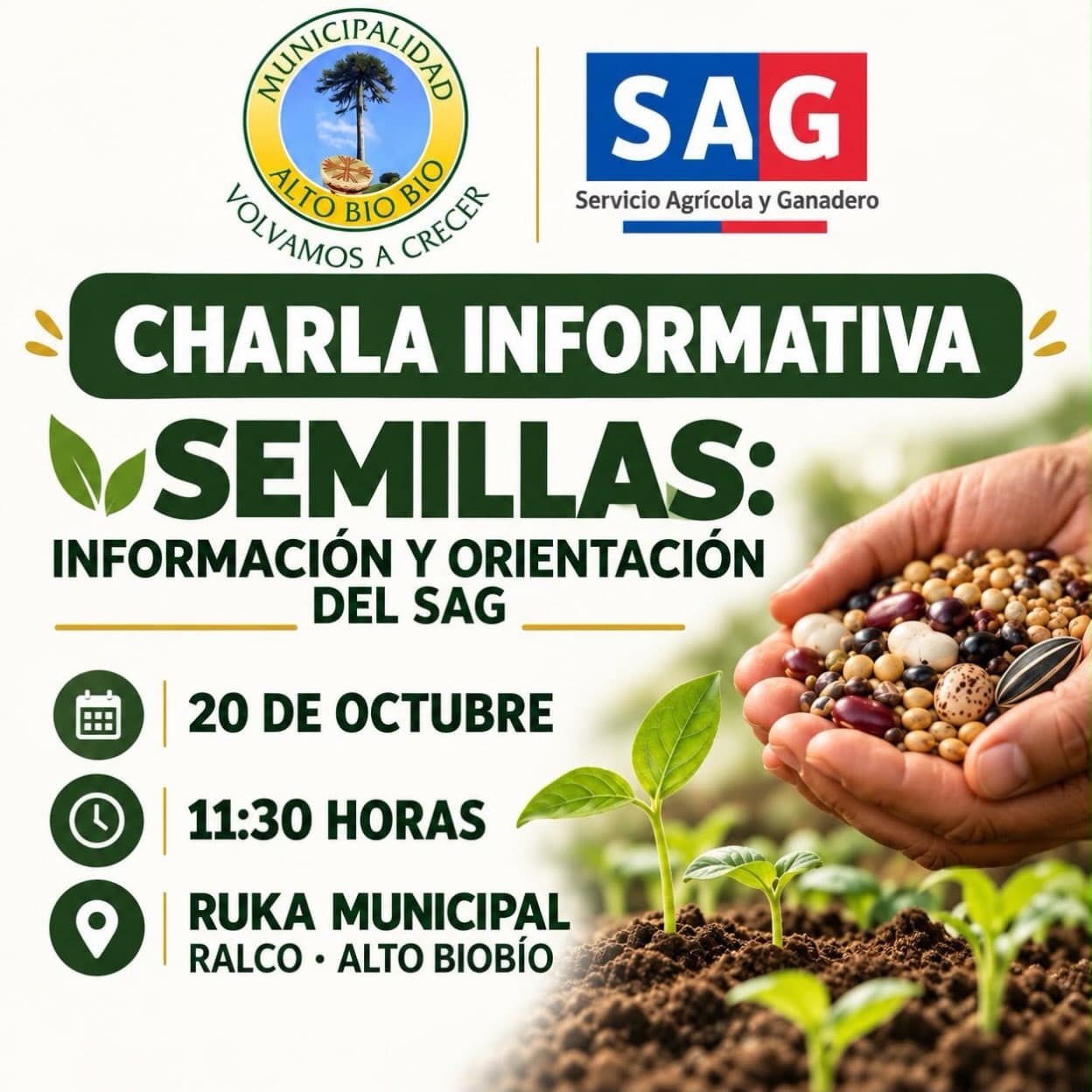 Charla informativa sobre semillas con orientación del SAG en Alto Biobío