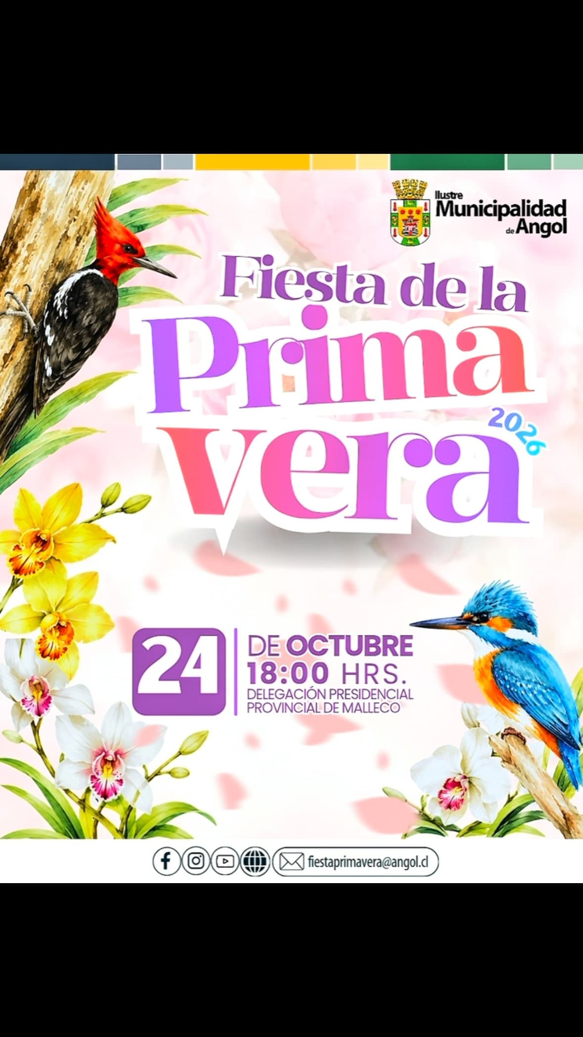 Fiesta de la Primavera 2026 en Angol: Celebración con Carros Alegóricos y Comparsas