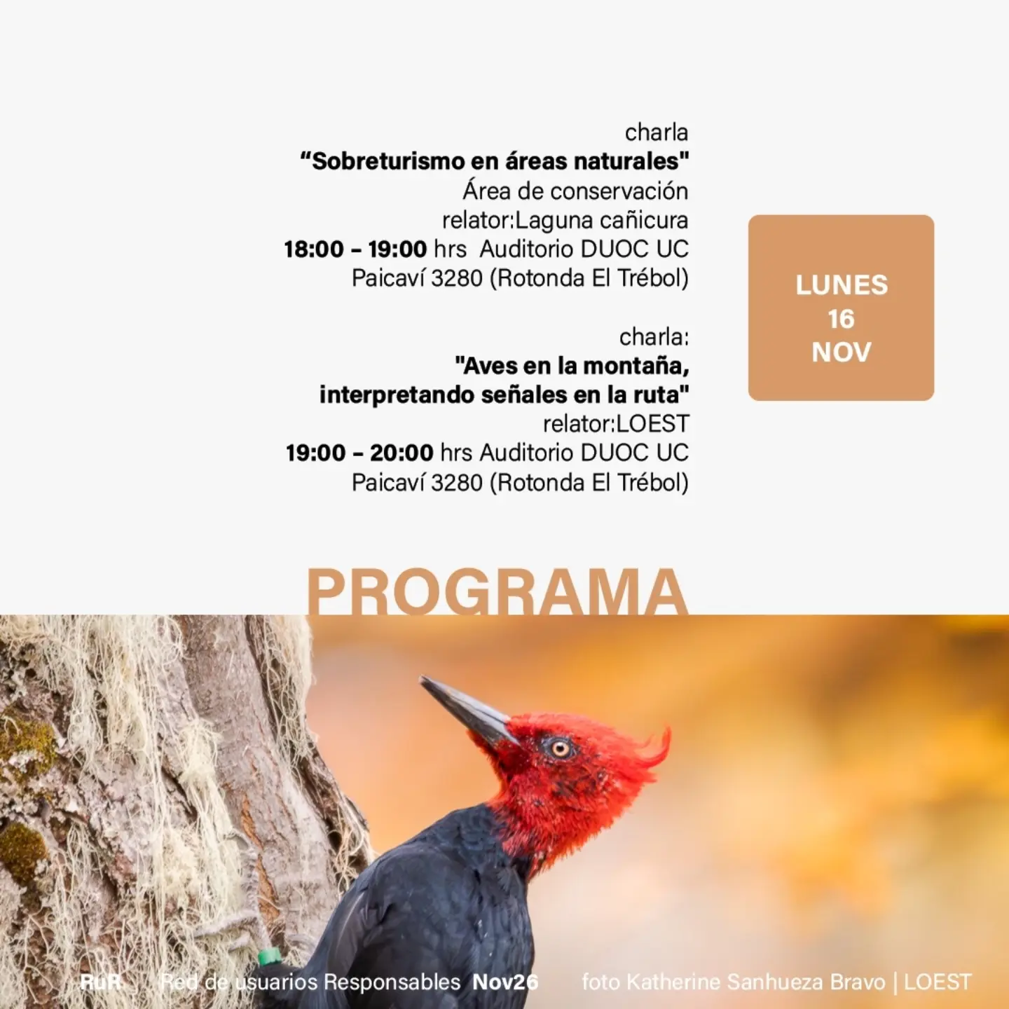 Charlas sobre sobreturismo en áreas naturales y aves en la montaña en Concepción