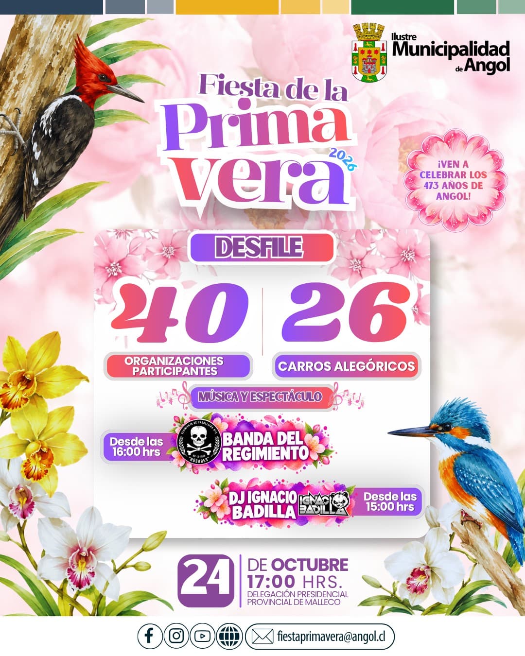 Desfile de la Primavera 2026: 40 organizaciones y 26 carros alegóricos celebran los 473 años de Angol