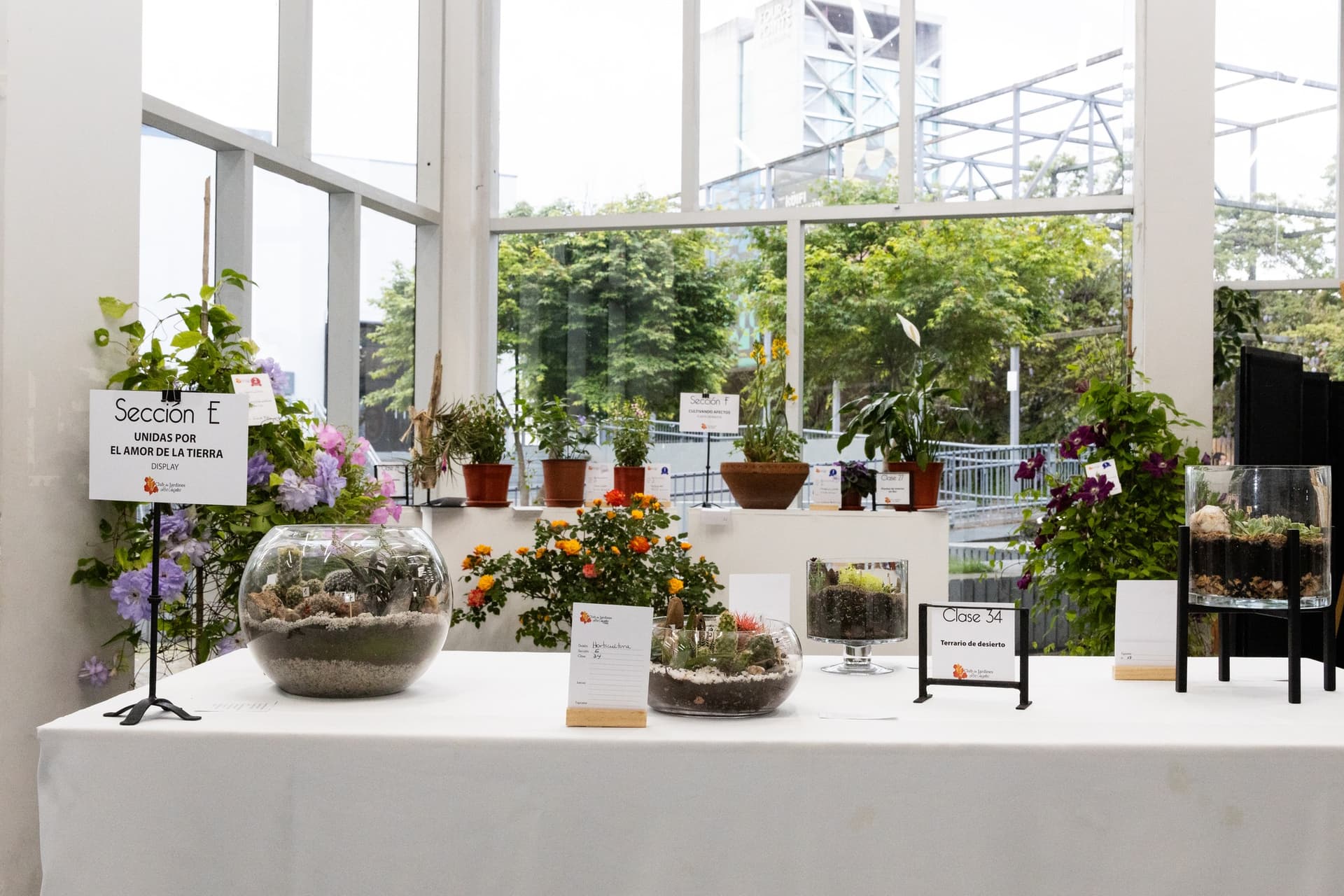 Exposición «Un jardín de emociones» del Club de Jardines en el Centro Cultural de Los Ángeles