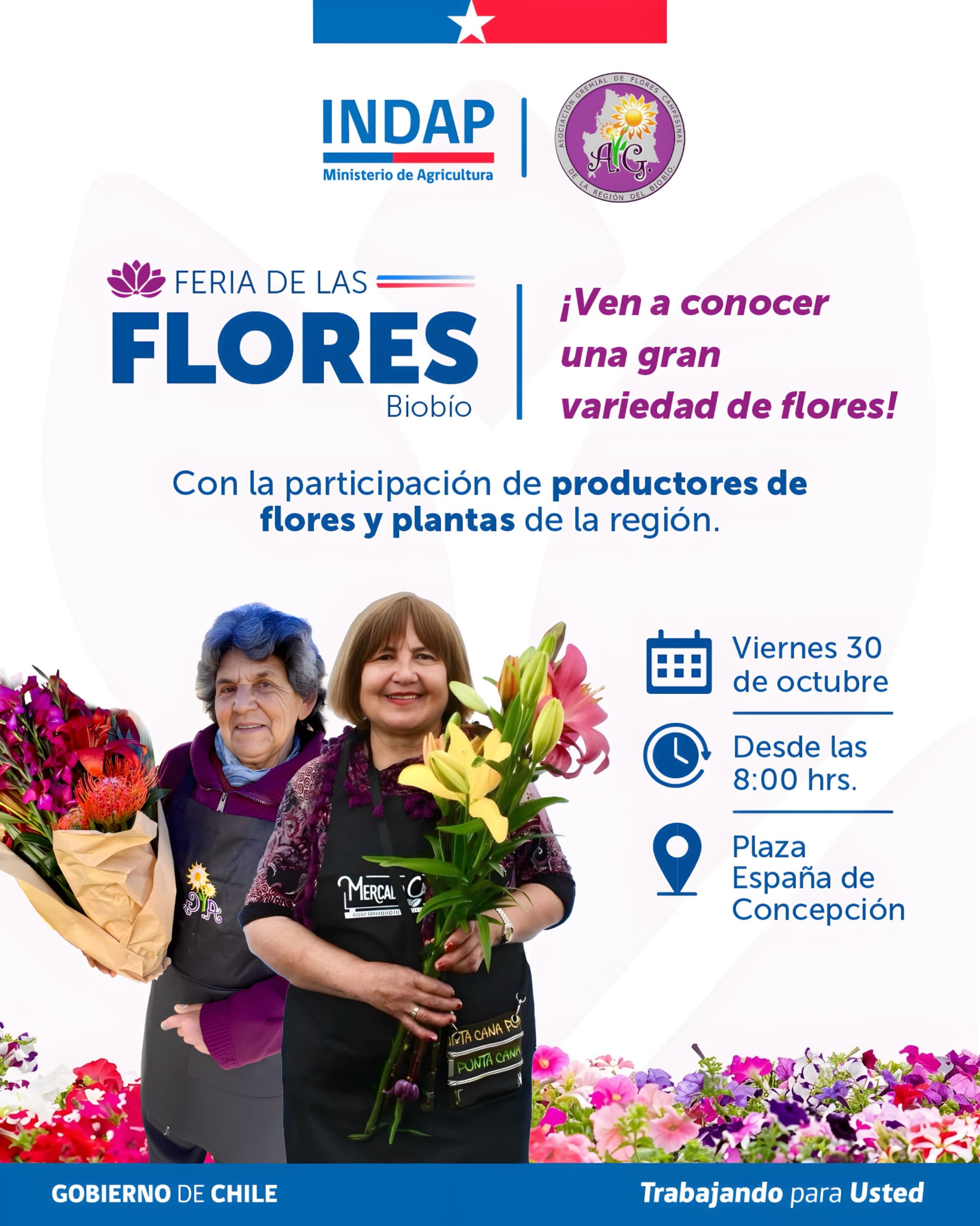 Feria de las Flores Campesinas llega a Concepción con productores del Biobío